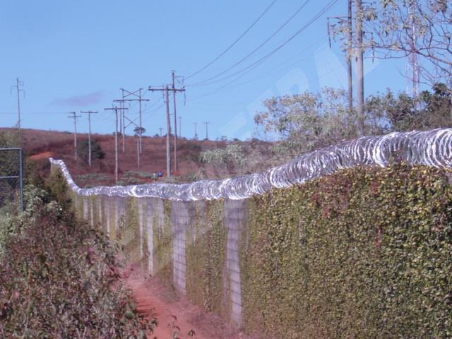 Concertina_Sobre_Muro_6